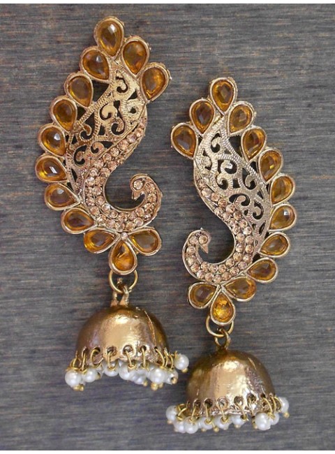 Fashion Earrings